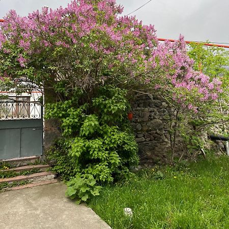 Soso Burduli'S Guesthouse Stepantsminda Exterior foto