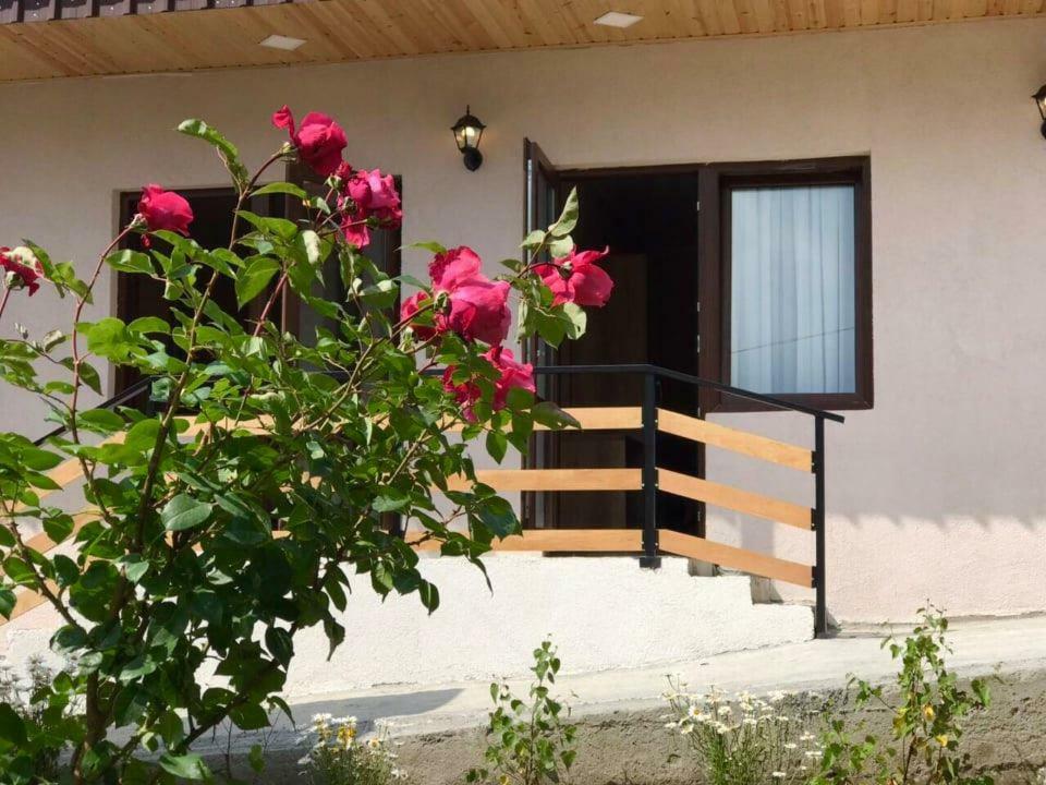 Soso Burduli'S Guesthouse Stepantsminda Exterior foto